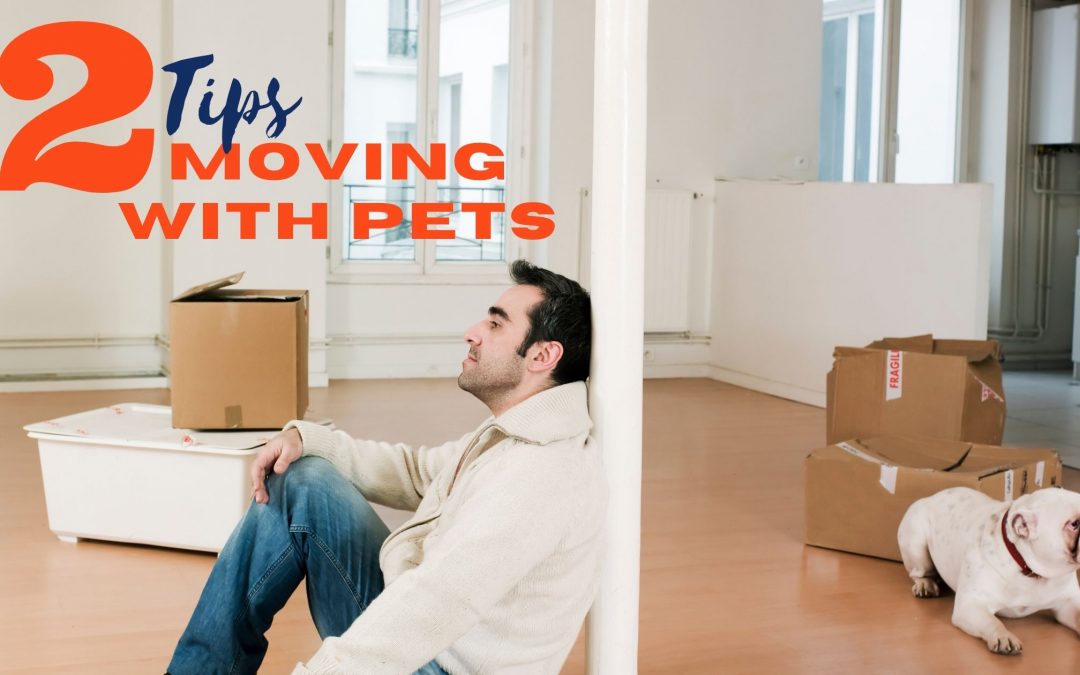Resources for Moving with a Pet in Savannah