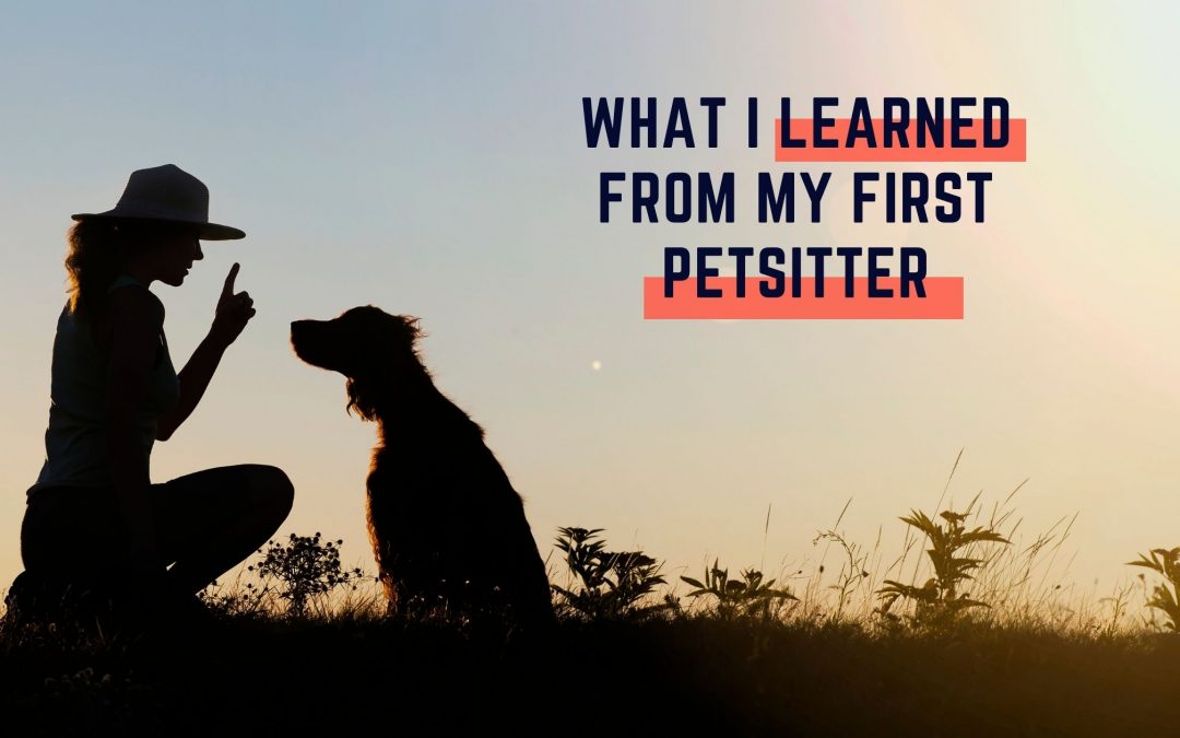 My 1st Experience with a Pet Sitter