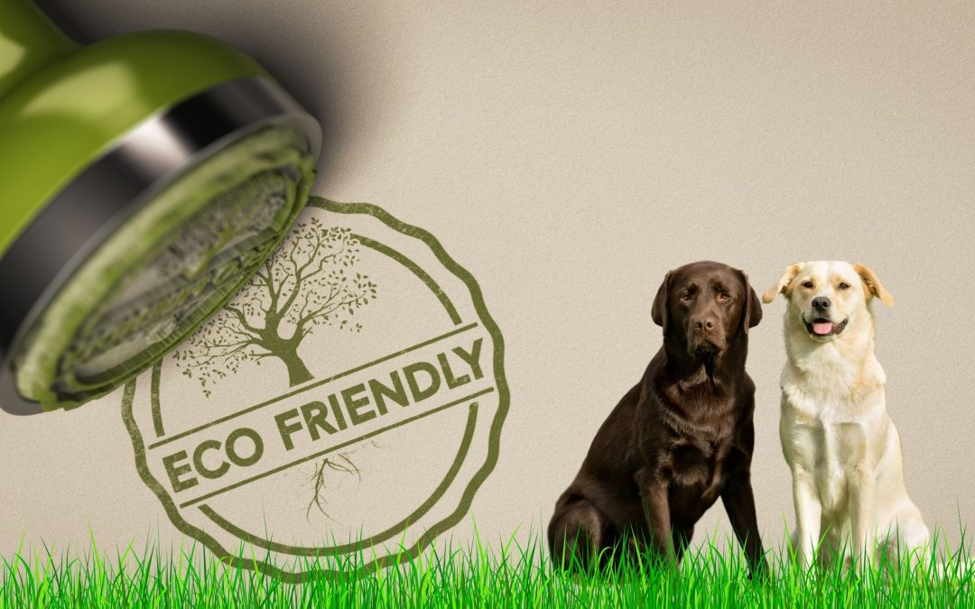 Eco-Friendly Pet Products