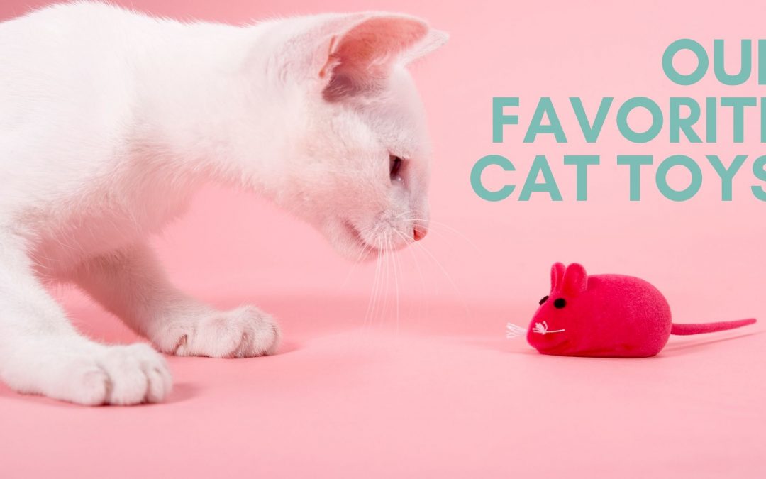Our Favorite Cat Toys