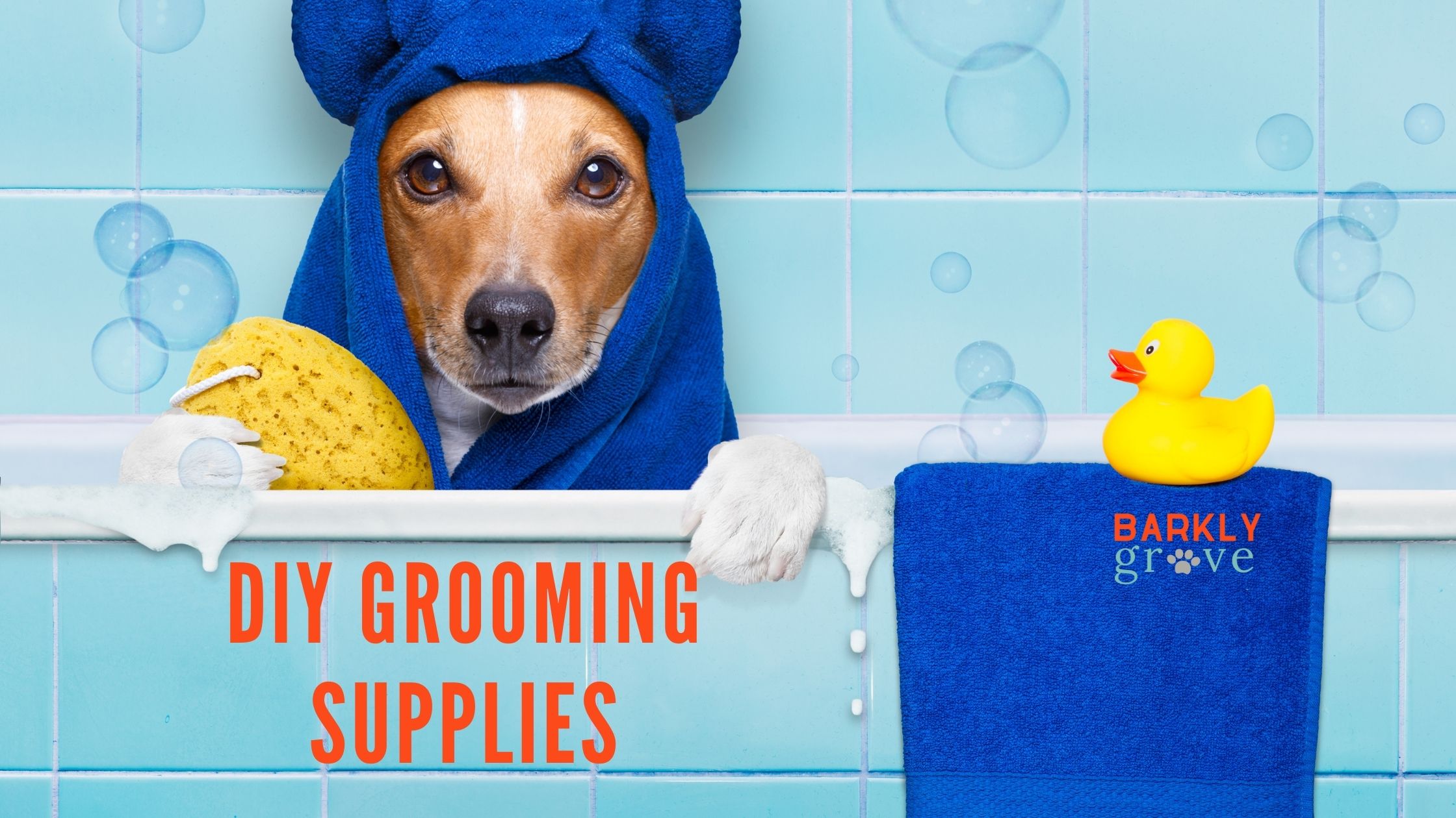 What to ask the groomer